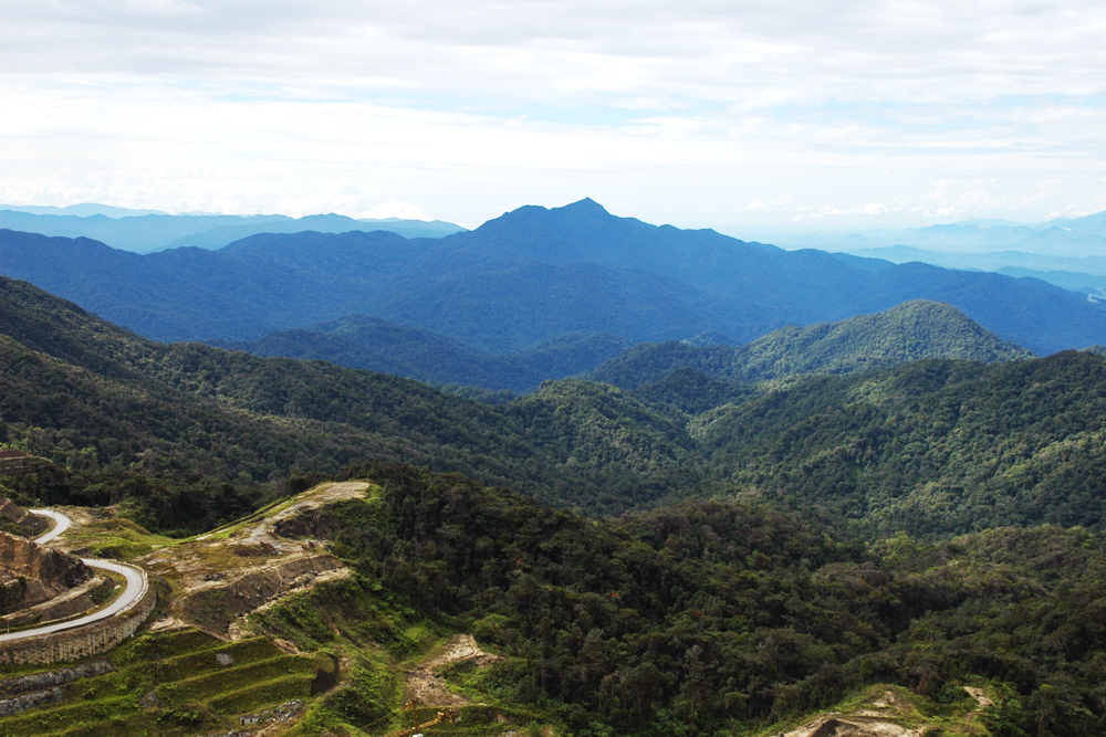 小主人的寻宝记