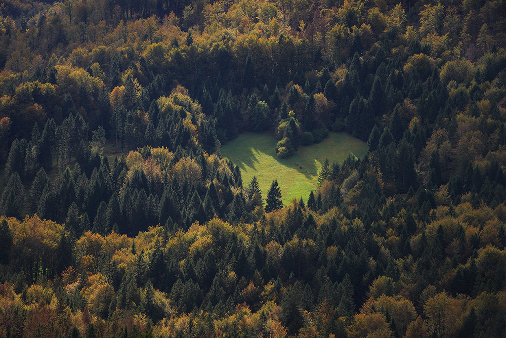 Cherish Our Beautiful World