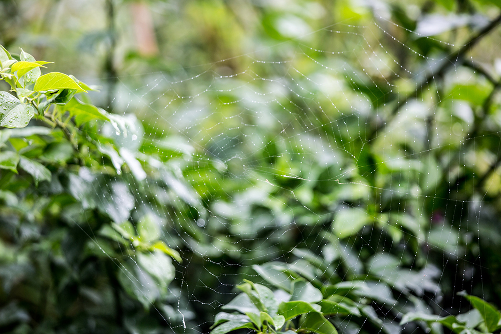 临终时如何不惶恐？
