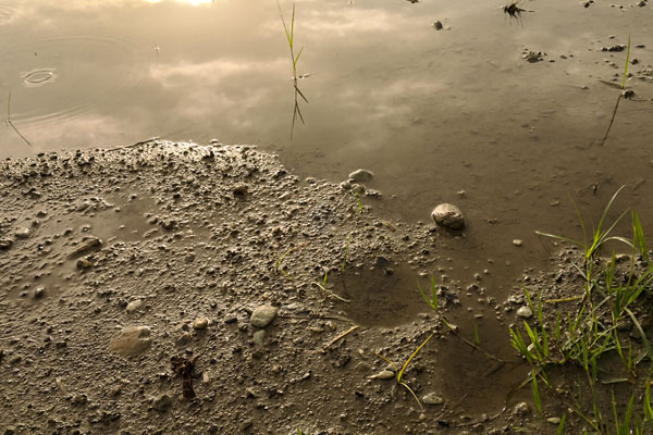 照顾心念就是修行