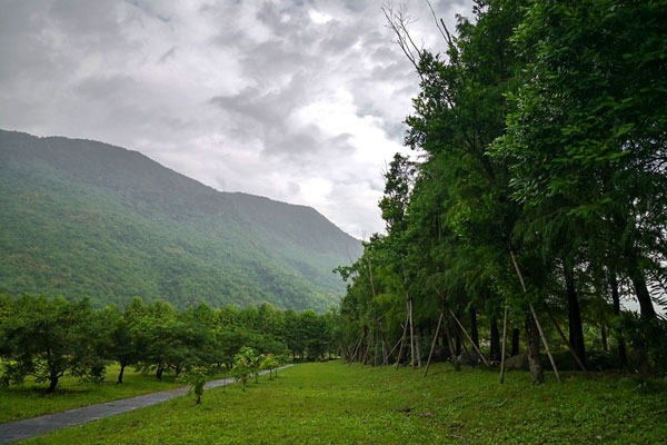 欠缺欢喜缘的老婢女