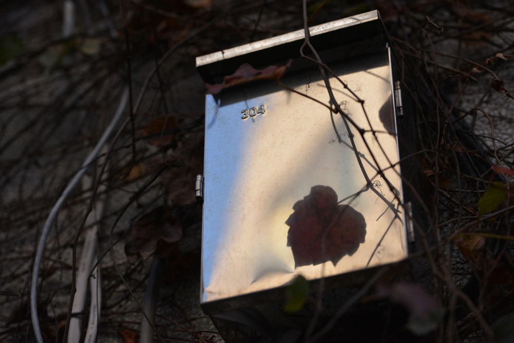 SG20130210 13 TW 1000x667