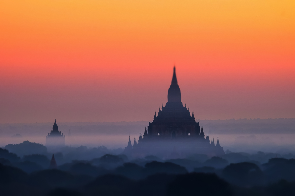 Understand Buddhism to Seek Truth in this Illusory World