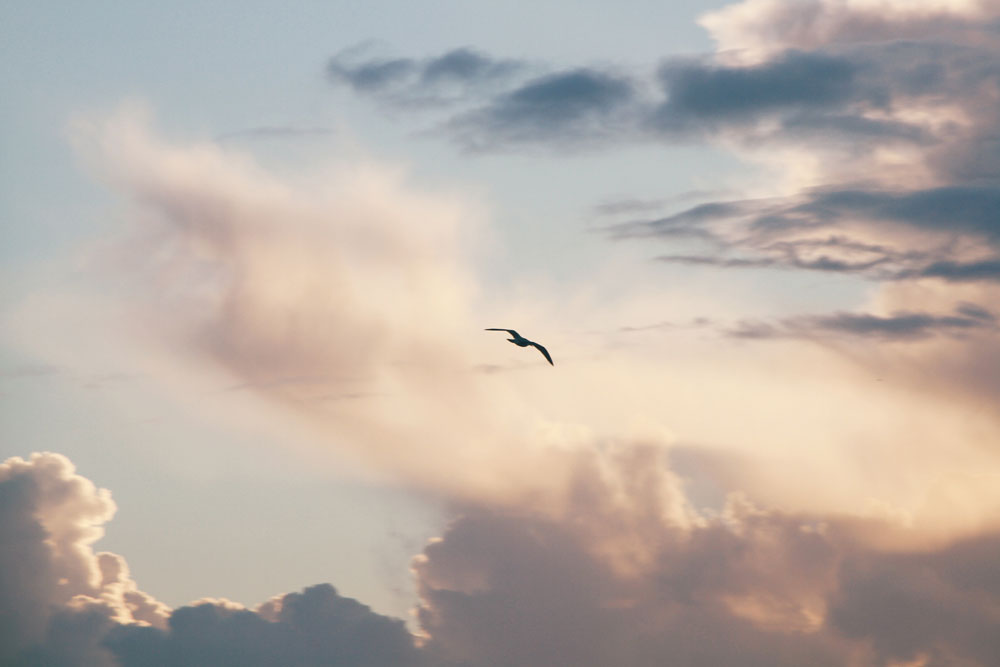 Heaven is where Trouble is Absent