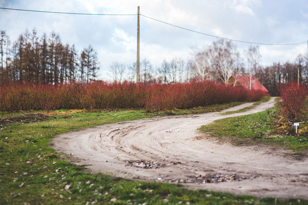 country countryside1000x667