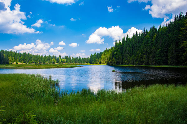 不受外境影响的禅师