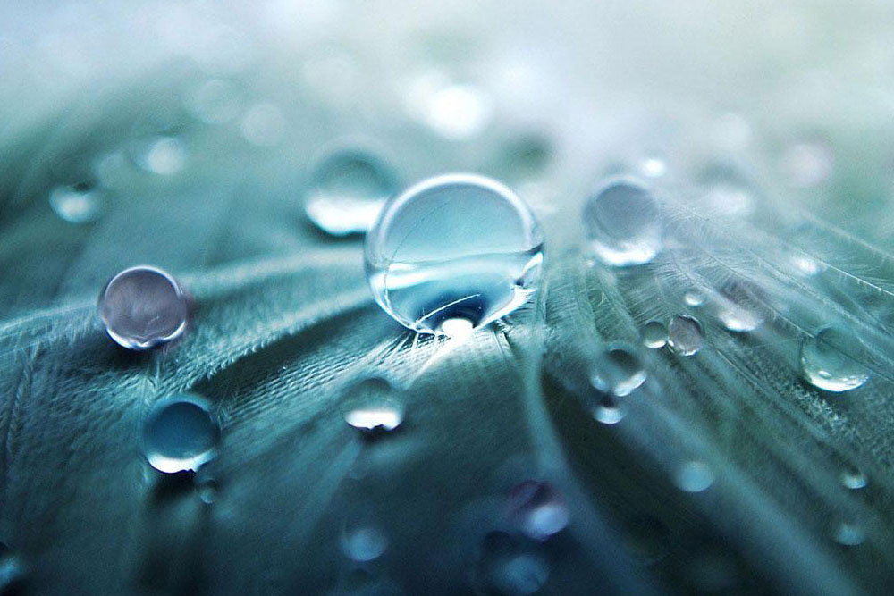 pexels photo 2688191000x667
