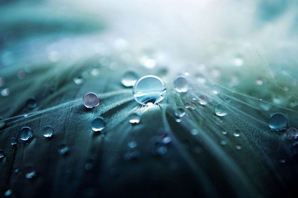 The Necklace of Water Bubbles