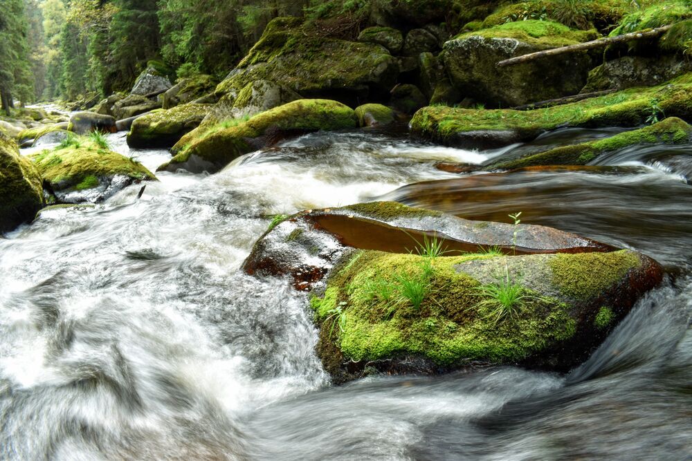 By allowing nature to take its course, is that eliminating karma or creating bad karma?
