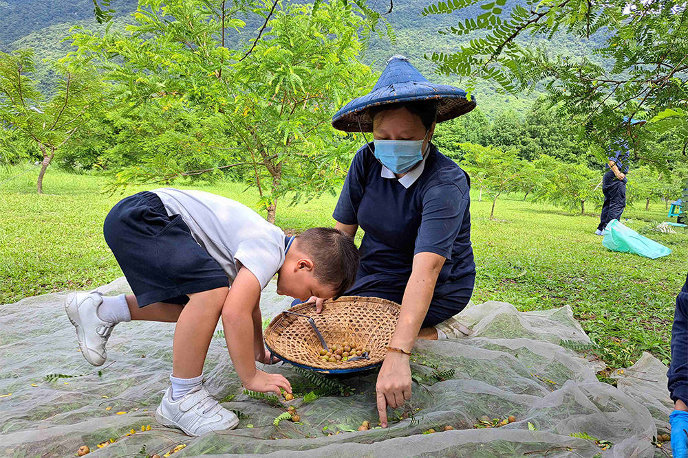 第一次见到师公上人的近乡情怯