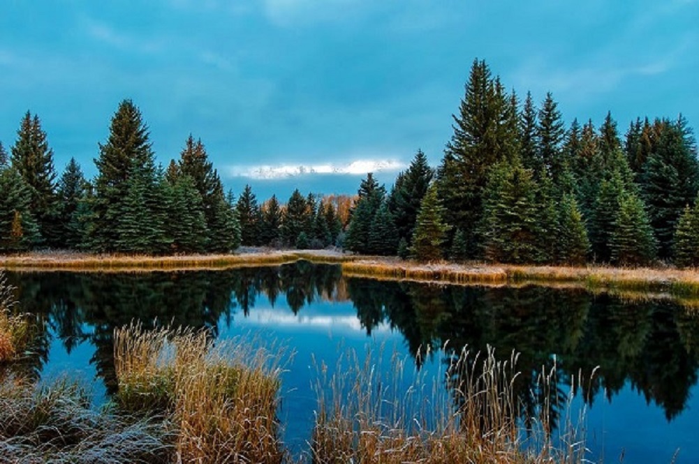 201910 The Buddhas Bathing Robe
