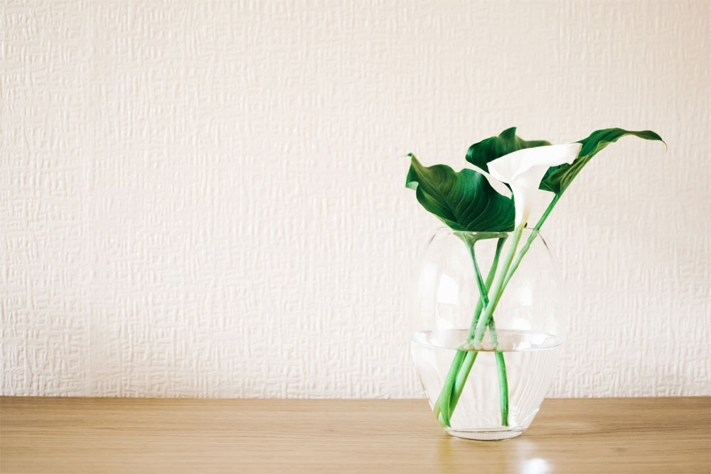 green plant on clear glass 