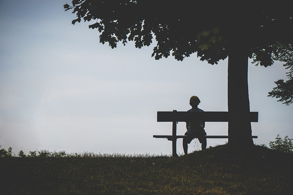 person sitting on bench under tree 1280162