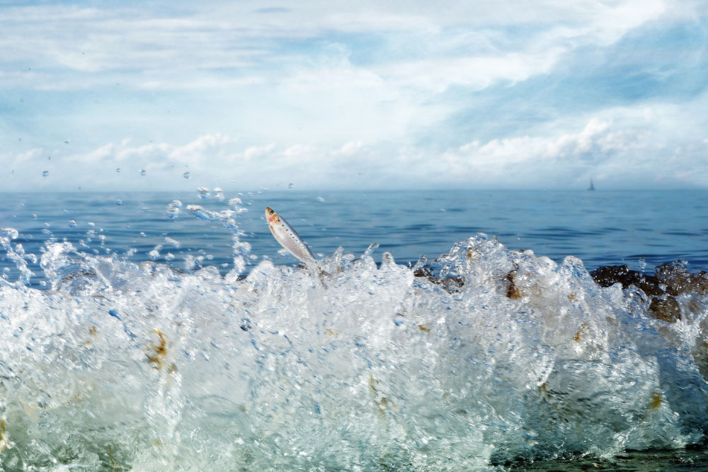 pexels dorran 1624442